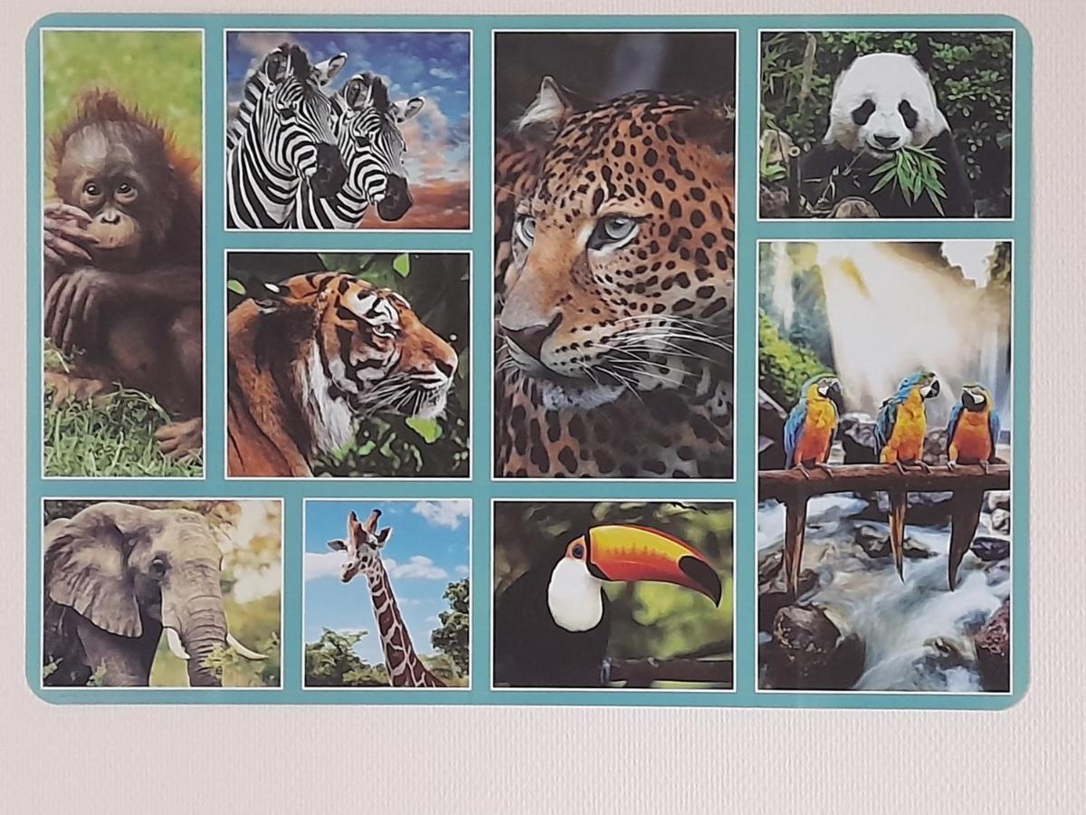 Animalier Lejlighed Joigny Eksteriør billede